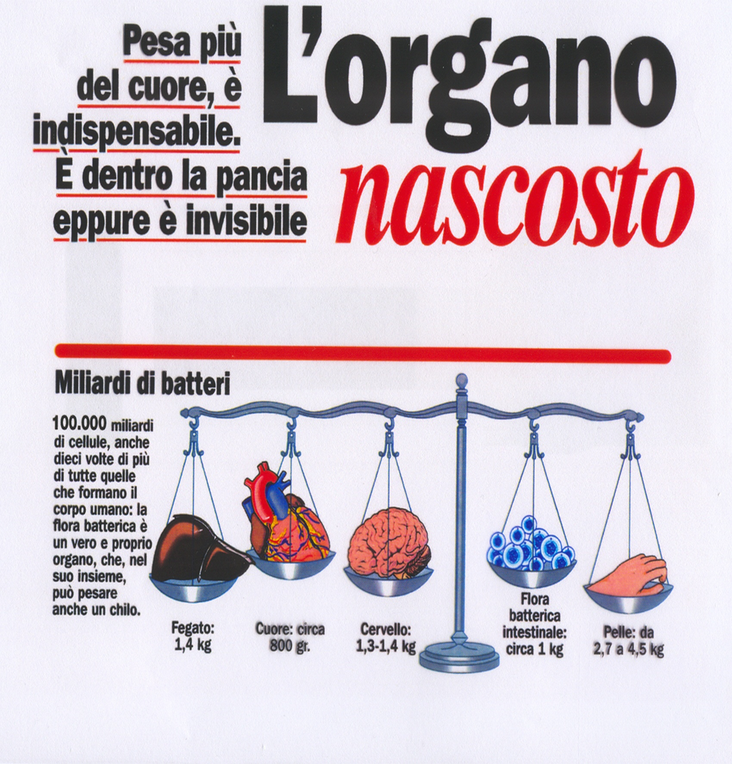 organo nascosto