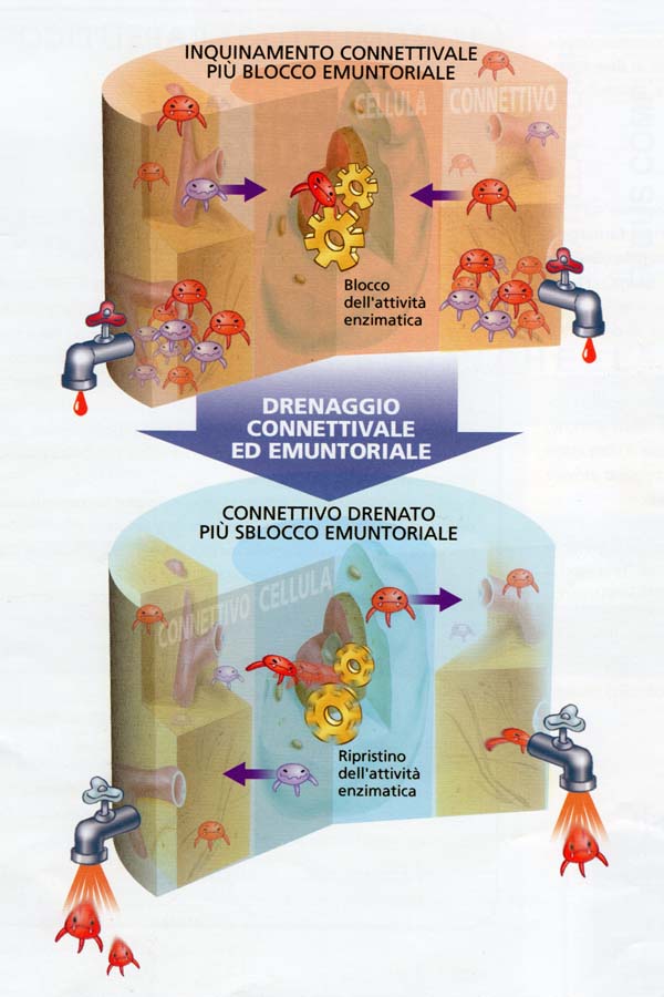 drenaggio